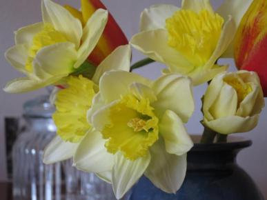 narzissen-und-tulpen-in-vase