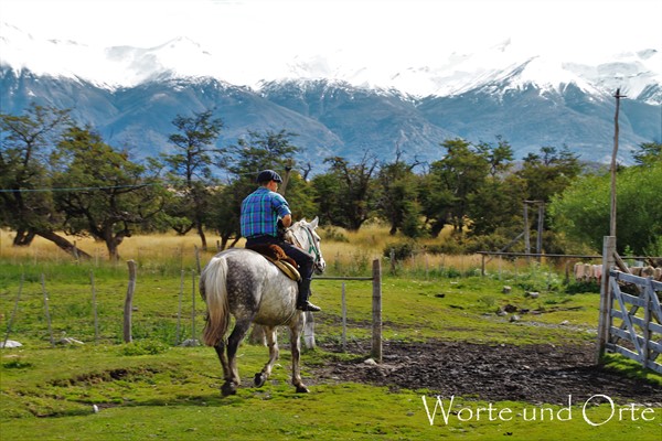 argentinischer Gaucho zu Pferd